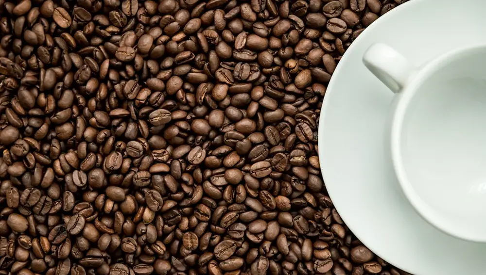 La cafeina empeora la ansiedad y el miedo a lo nuevo en el alzheimer La cafeina empeora la ansiedad y el miedo a lo nuevo en el alzheimer