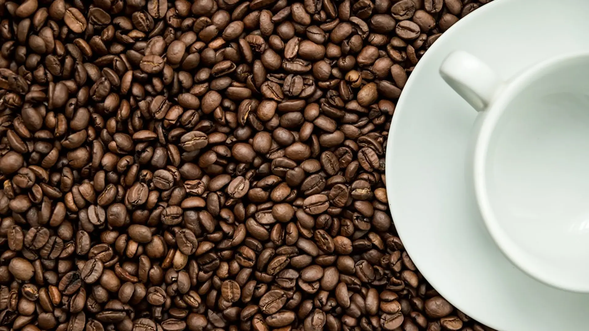 La cafeina empeora la ansiedad y el miedo a lo nuevo en el alzheimer