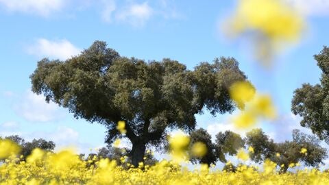 Extremadura natural
