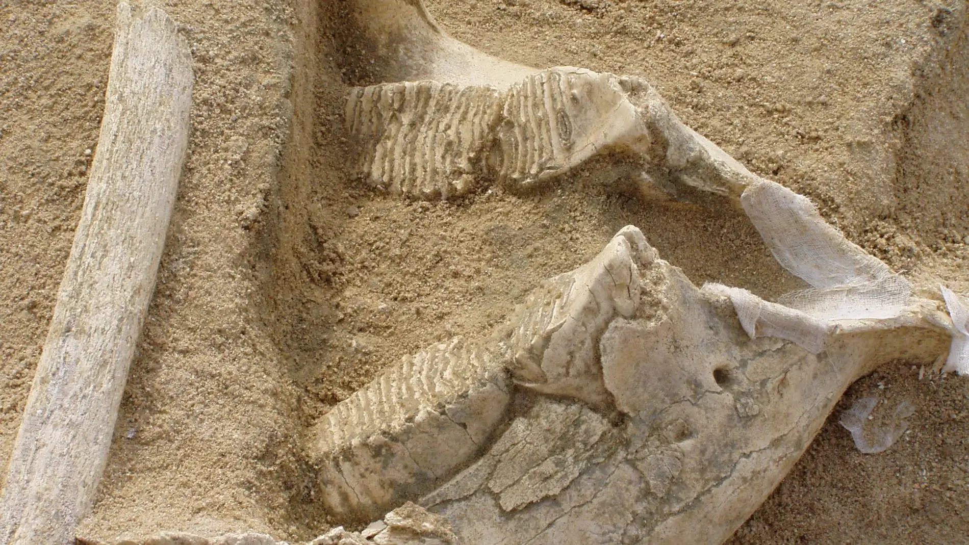 Yacimientos