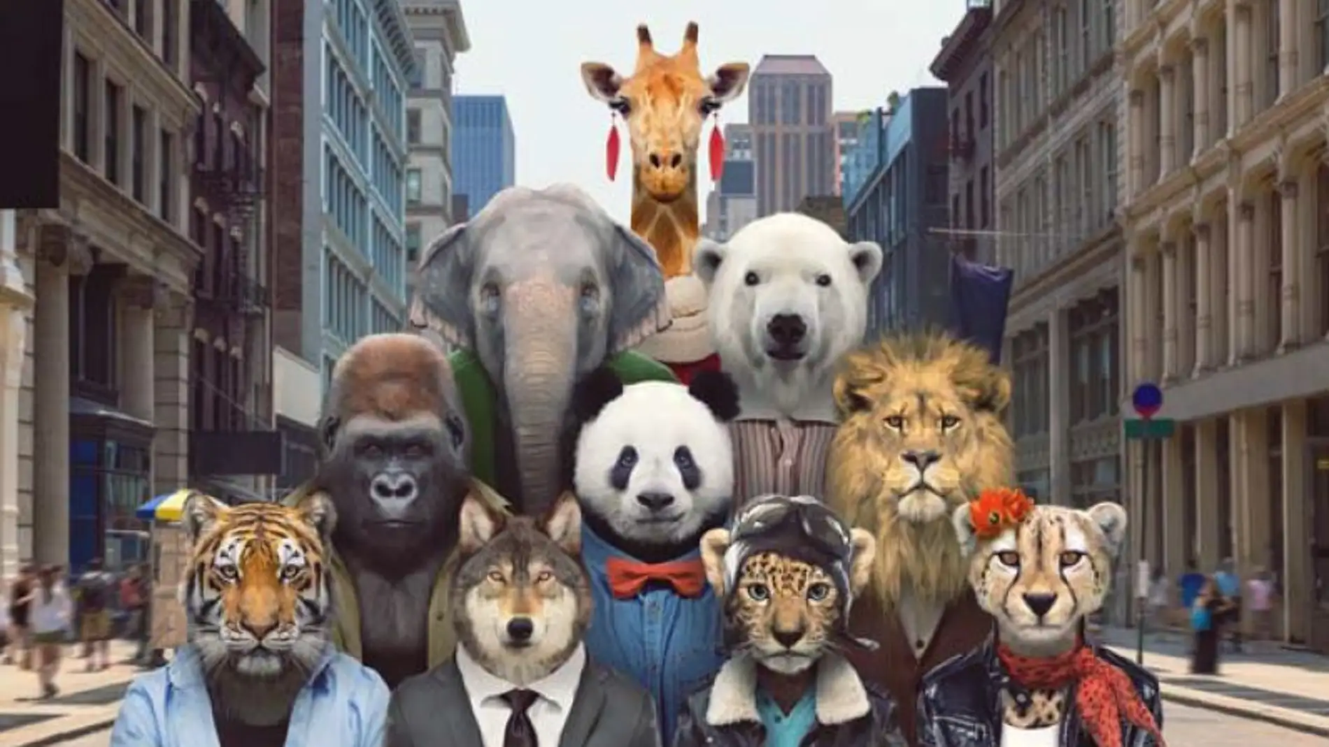 La fama de los animales mas mediaticos puede llevarlos a la ruina