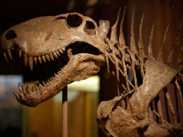 El ‘boom’ de las pujas por huesos de dinosaurios se produco a finales de los 90
