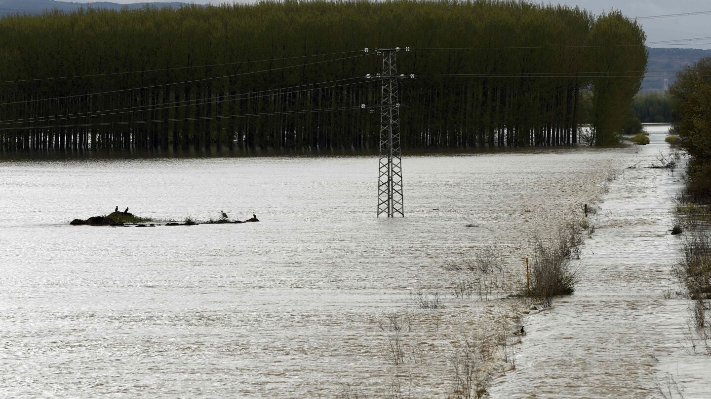 Lugar cercano a la localidad de Castej&oacute;n donde se han roto los diques que se encontraban en el margen de rio