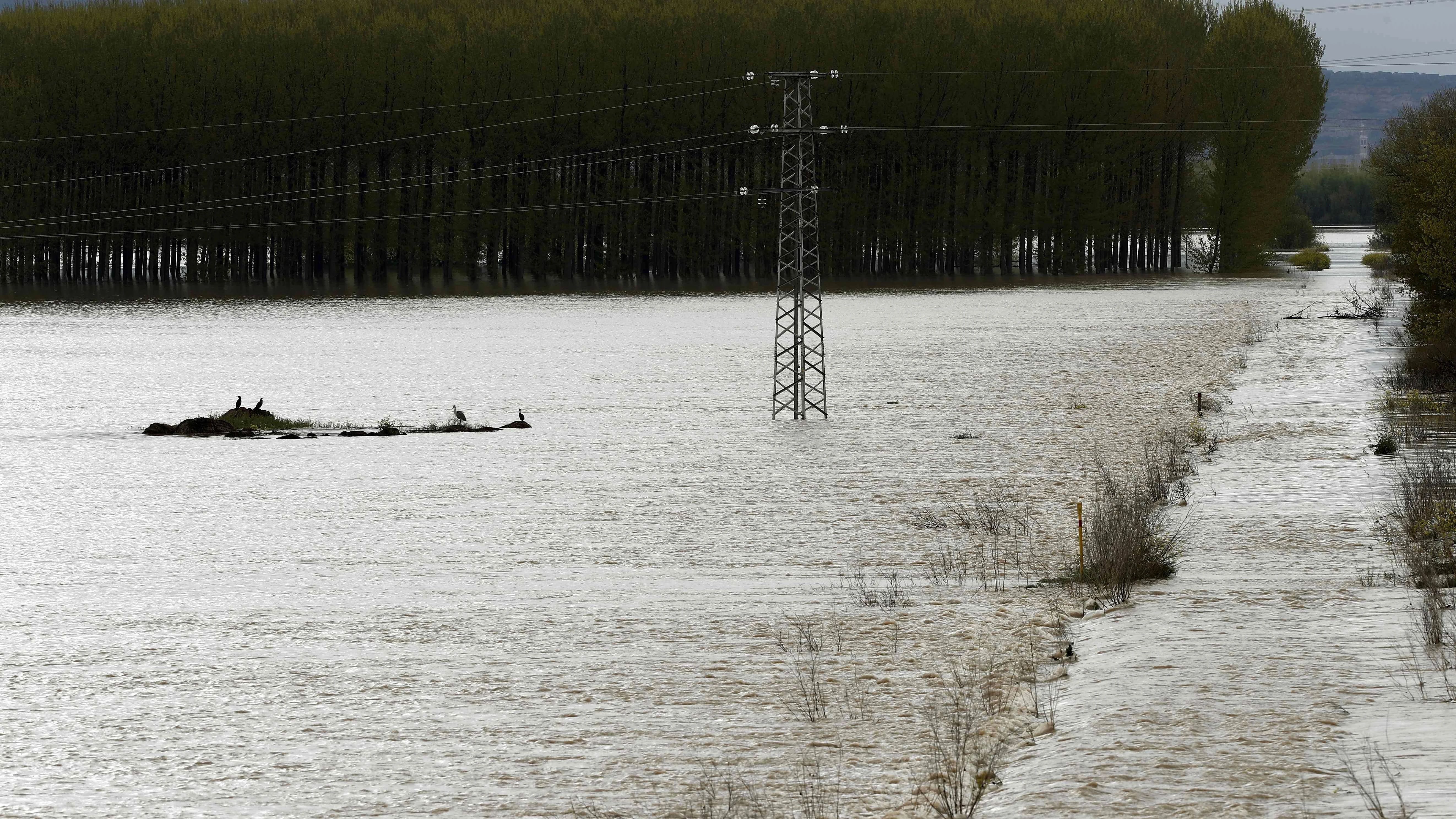 Lugar cercano a la localidad de Castejón donde se han roto los diques que se encontraban en el margen de rio