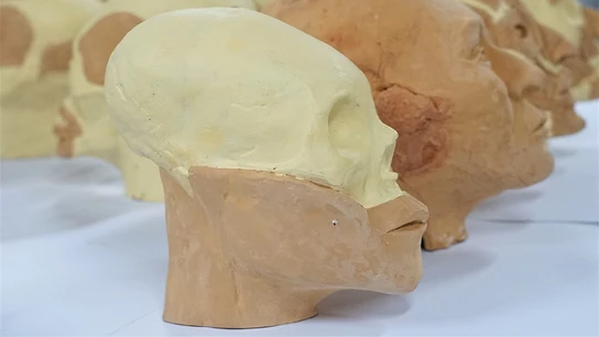 Los rostros de los tiahuanacos reconstruidos Los rostros de los tiahuanacos reconstruidos