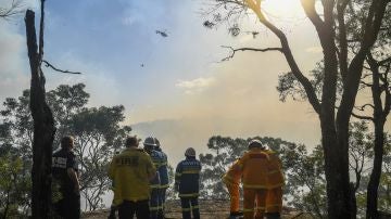 Varios bomberos en las labores de extinción del incendio forestal