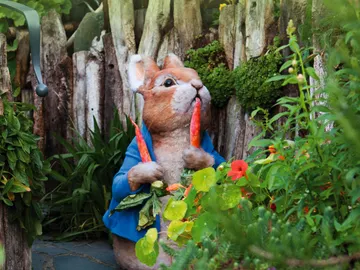 The World of Beatrix Potter  The World of Beatrix Potter