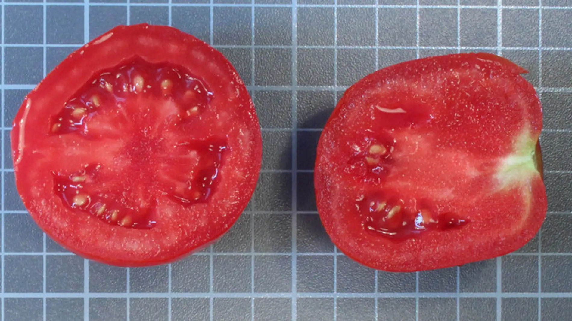 tomate