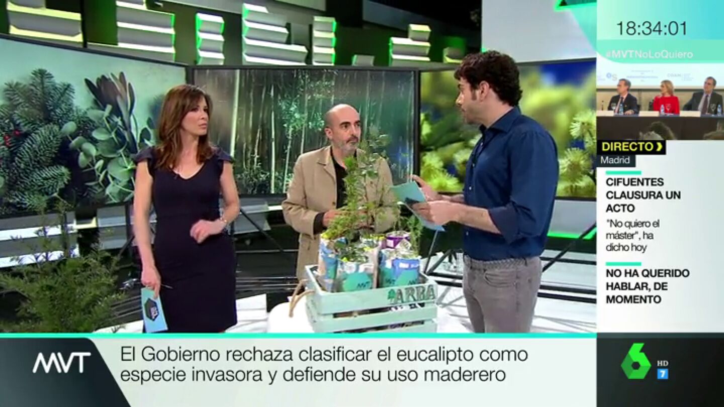 El consultor medioambiental Miguel Aguado