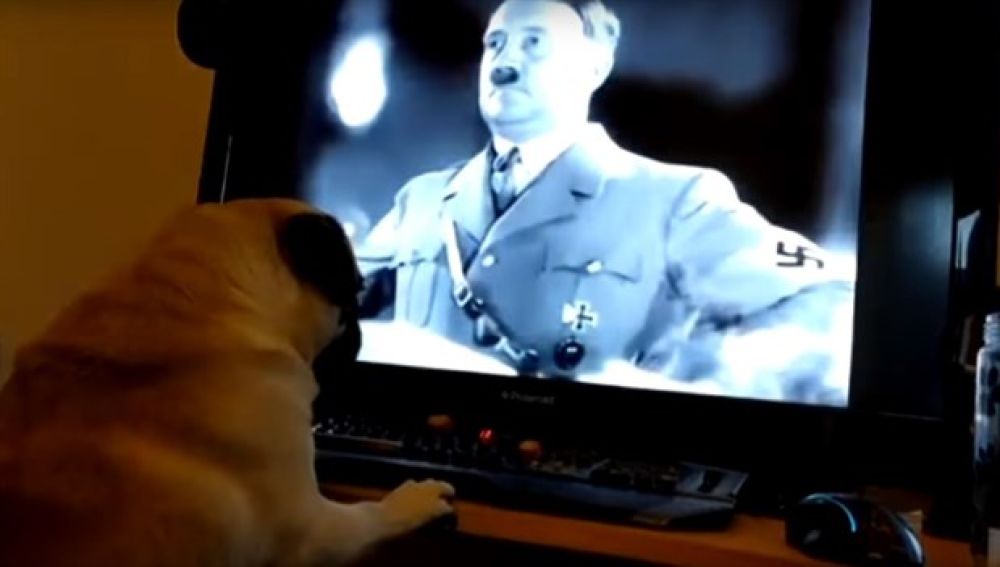 Perro y saludo nazi