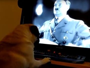 Perro y saludo nazi Perro y saludo nazi
