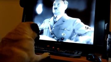 Perro y saludo nazi