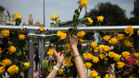 Rosas amarillas en Sant Jordi Rosas amarillas en Sant Jordi