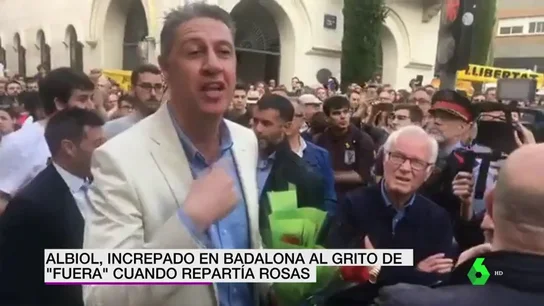 Albiol Albiol
