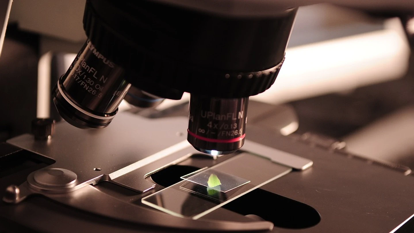 Científicos crean dispositivos cien veces más pequeños que una célula para detectar metástasis Científicos crean dispositivos cien veces más pequeños que una célula para detectar metástasis