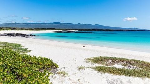 Islas Galápagos