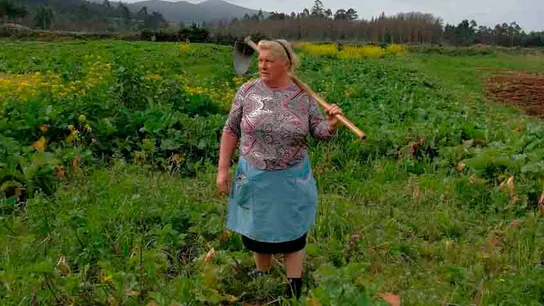 Dolores Leis, famosa por su parecido con Trump Dolores Leis, famosa por su parecido con Trump