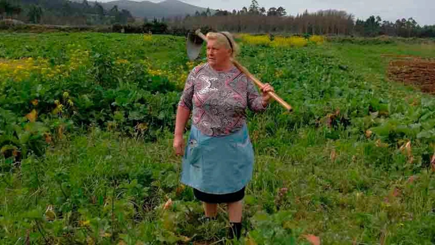 Dolores Leis, famosa por su parecido con Trump Dolores Leis, famosa por su parecido con Trump