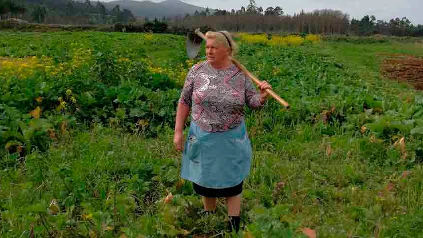 Dolores Leis, famosa por su parecido con Trump Dolores Leis, famosa por su parecido con Trump