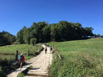 Viajar con niños Viajar con niños