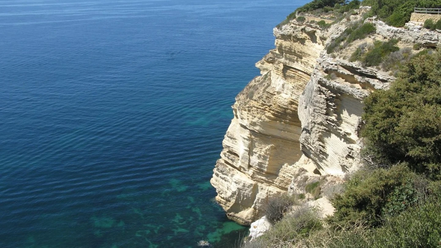 Barbate Barbate