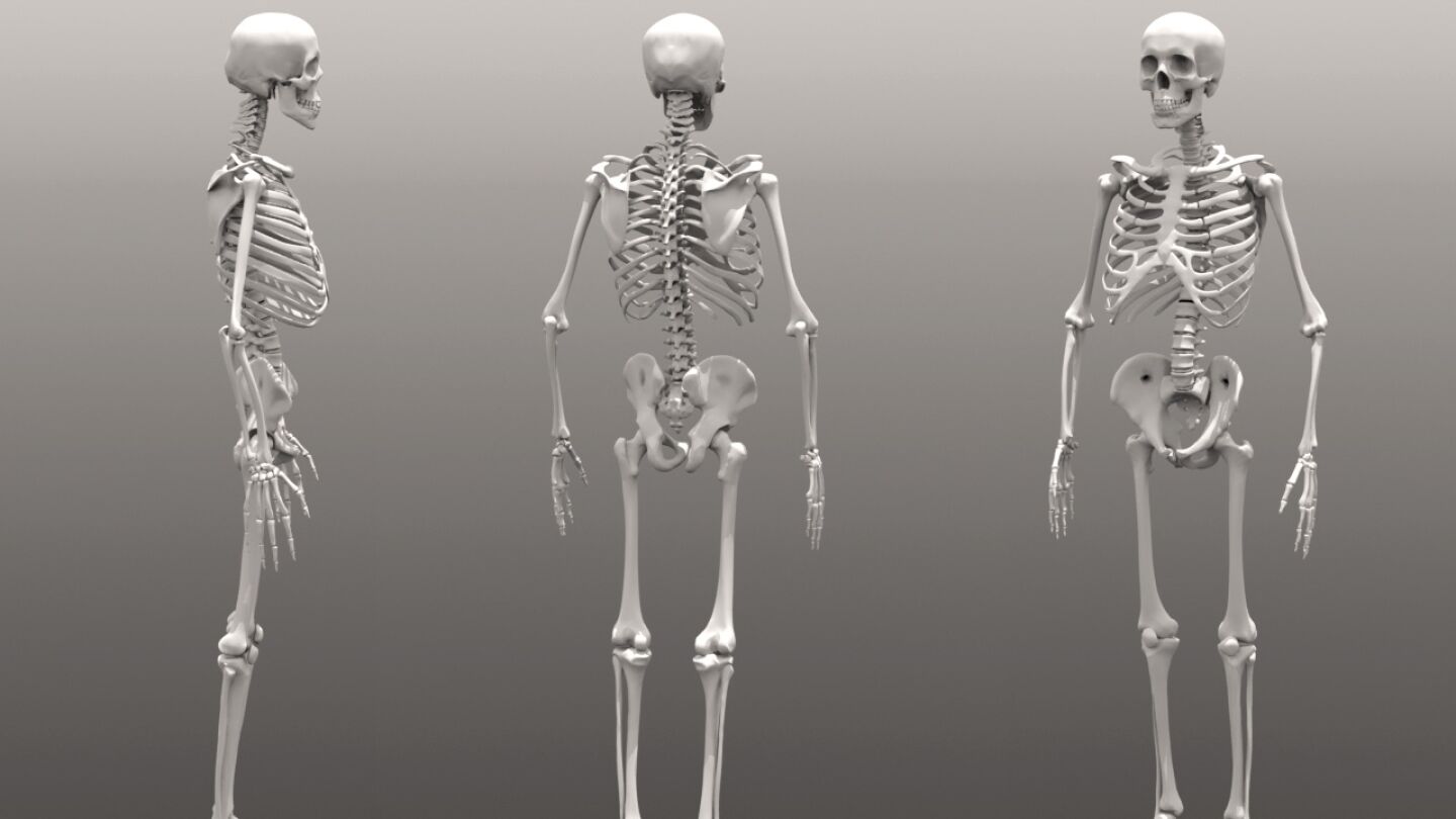 Imagen de varios esqueletos humanos