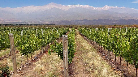 Mendoza (Argentina)