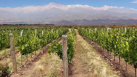 Mendoza (Argentina) Mendoza (Argentina)