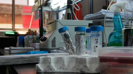 Imagen de unos análisis en un laboratorio Imagen de unos análisis en un laboratorio