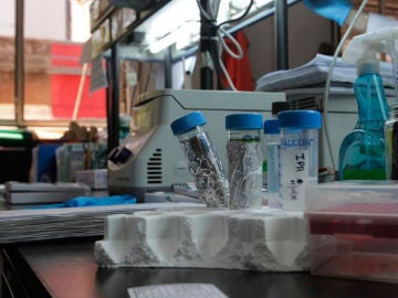 Imagen de unos análisis en un laboratorio Imagen de unos análisis en un laboratorio