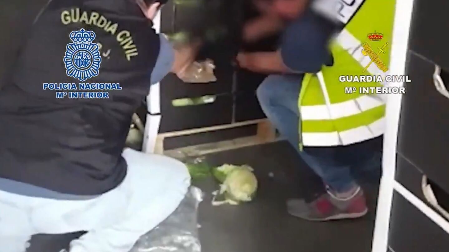 Momento en el que las autoridades intervienen la marihuana de las lechugas