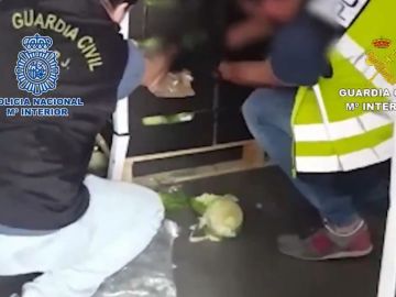 Momento en el que las autoridades intervienen la marihuana de las lechugas Momento en el que las autoridades intervienen la marihuana de las lechugas