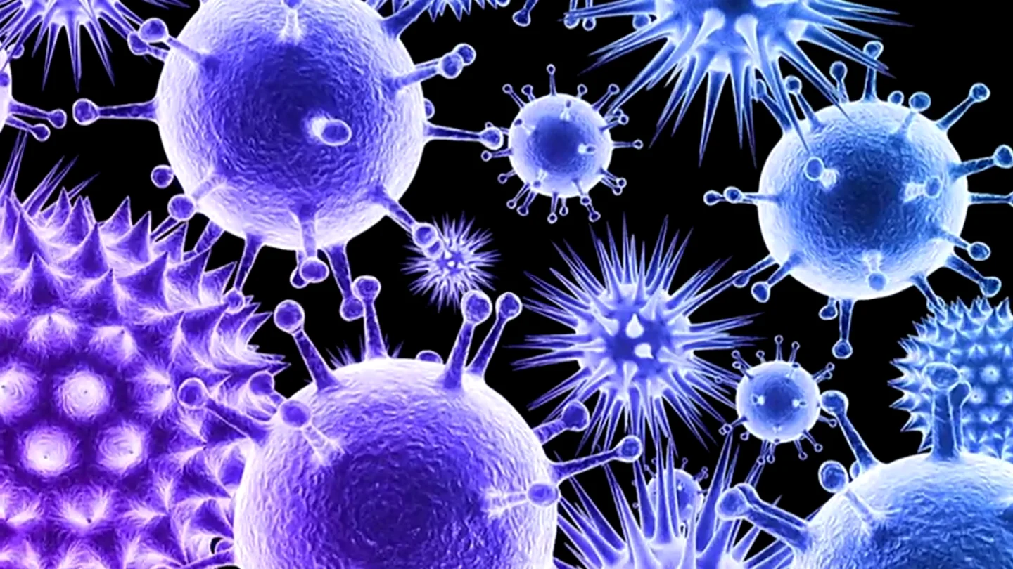 Casi 100 personas mueren al día en hospitales españoles por bacterias multirresistentes Casi 100 personas mueren al día en hospitales españoles por bacterias multirresistentes