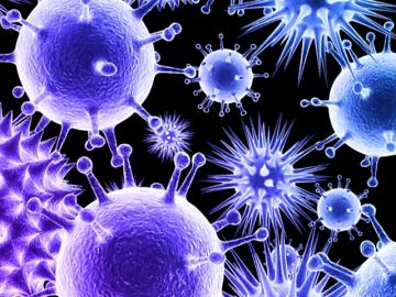 Casi 100 personas mueren al día en hospitales españoles por bacterias multirresistentes Casi 100 personas mueren al día en hospitales españoles por bacterias multirresistentes