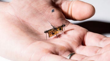 RoboFly pesa poco más que un palillo y vuela gracias a un rayo láser