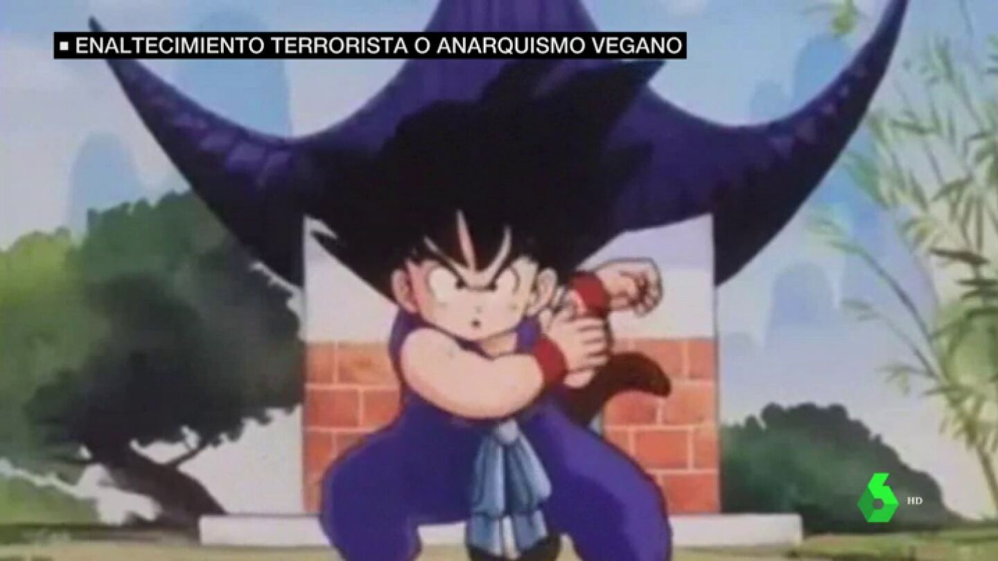 Piden dos a&ntilde;os de c&aacute;rcel para un grupo anarquista vegano por tuits como 'Goku vive, la lucha sigue': "Como no piensen que Goku es una palabra vasca..."