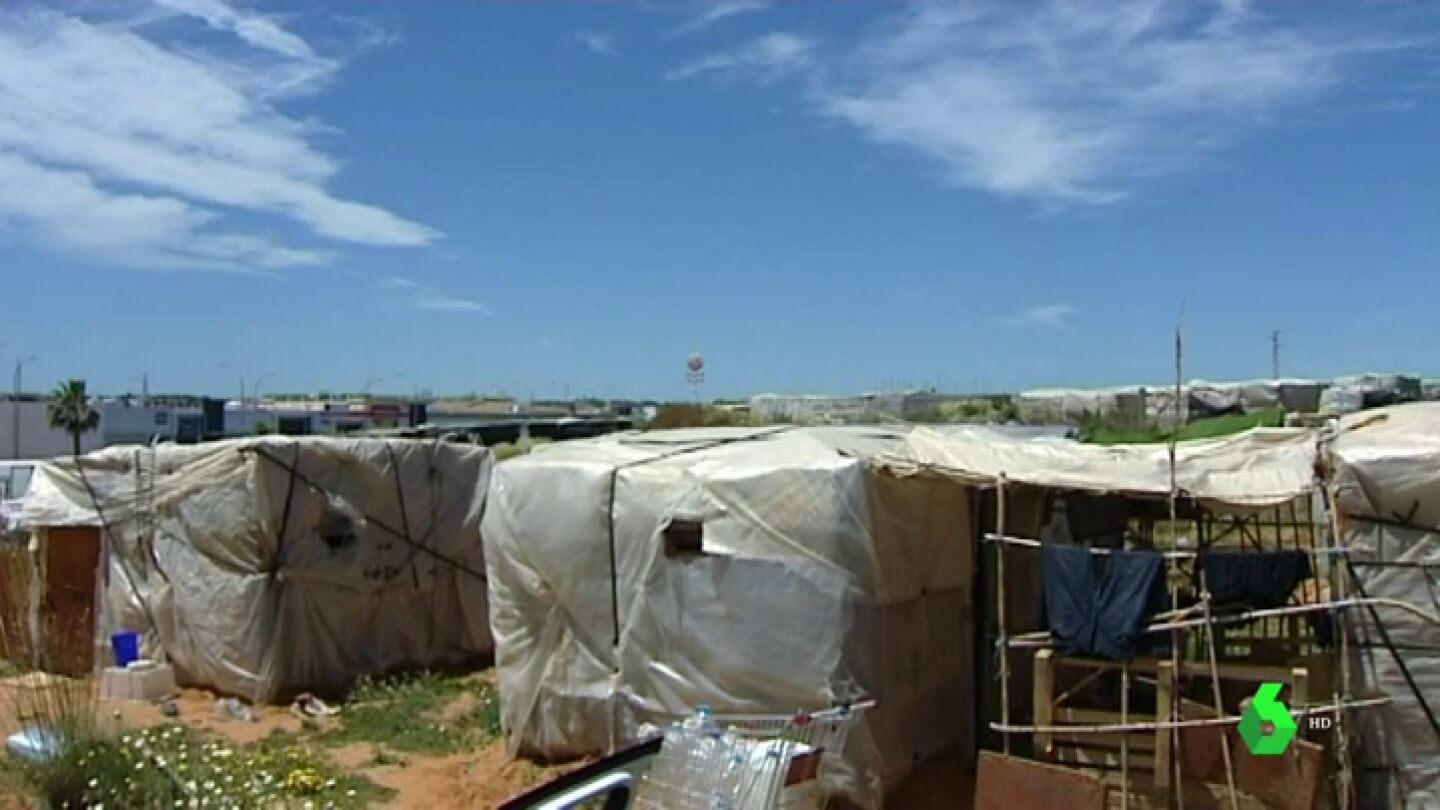 El 'mar de pl&aacute;stico' de Lepe, donde sudan los &uacute;ltimos inmigrantes explotados de Europa