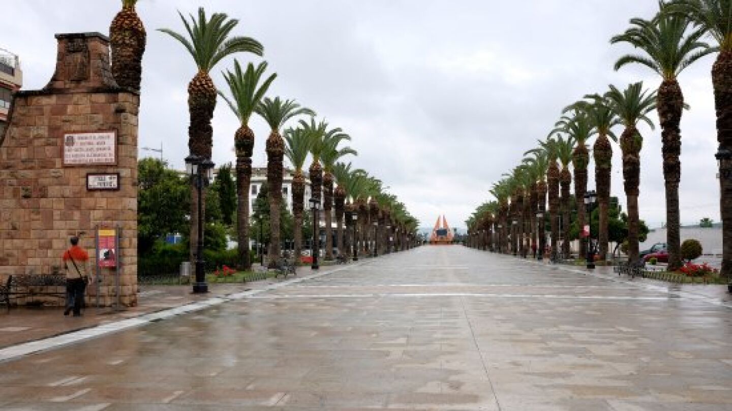Paseo de las palmeras de Bail&eacute;n