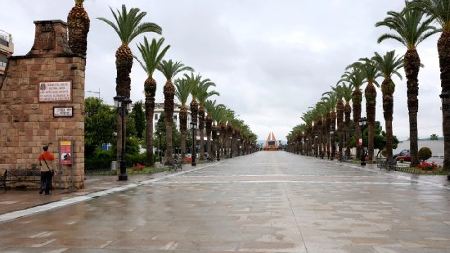 Paseo de las palmeras de Bailén Paseo de las palmeras de Bailén