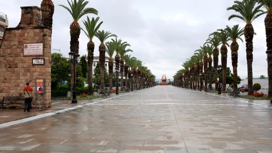 Paseo de las palmeras de Bailén