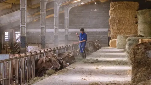 Benvinguts a Pagès Vuelve Benvinguts a Pagès