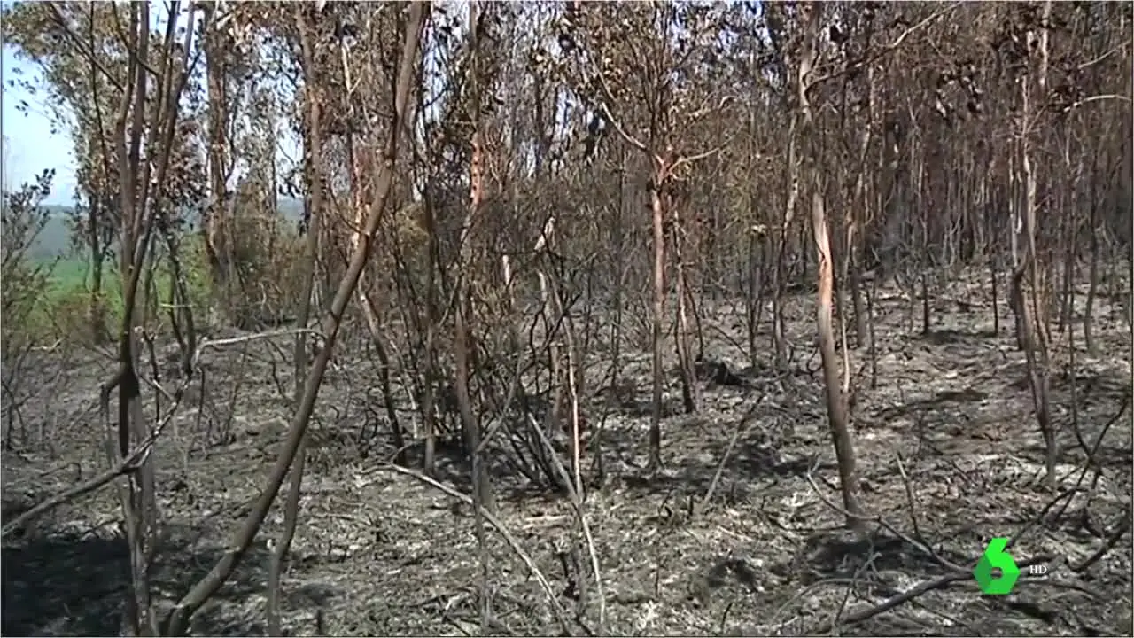 Incendio en Pontevedra