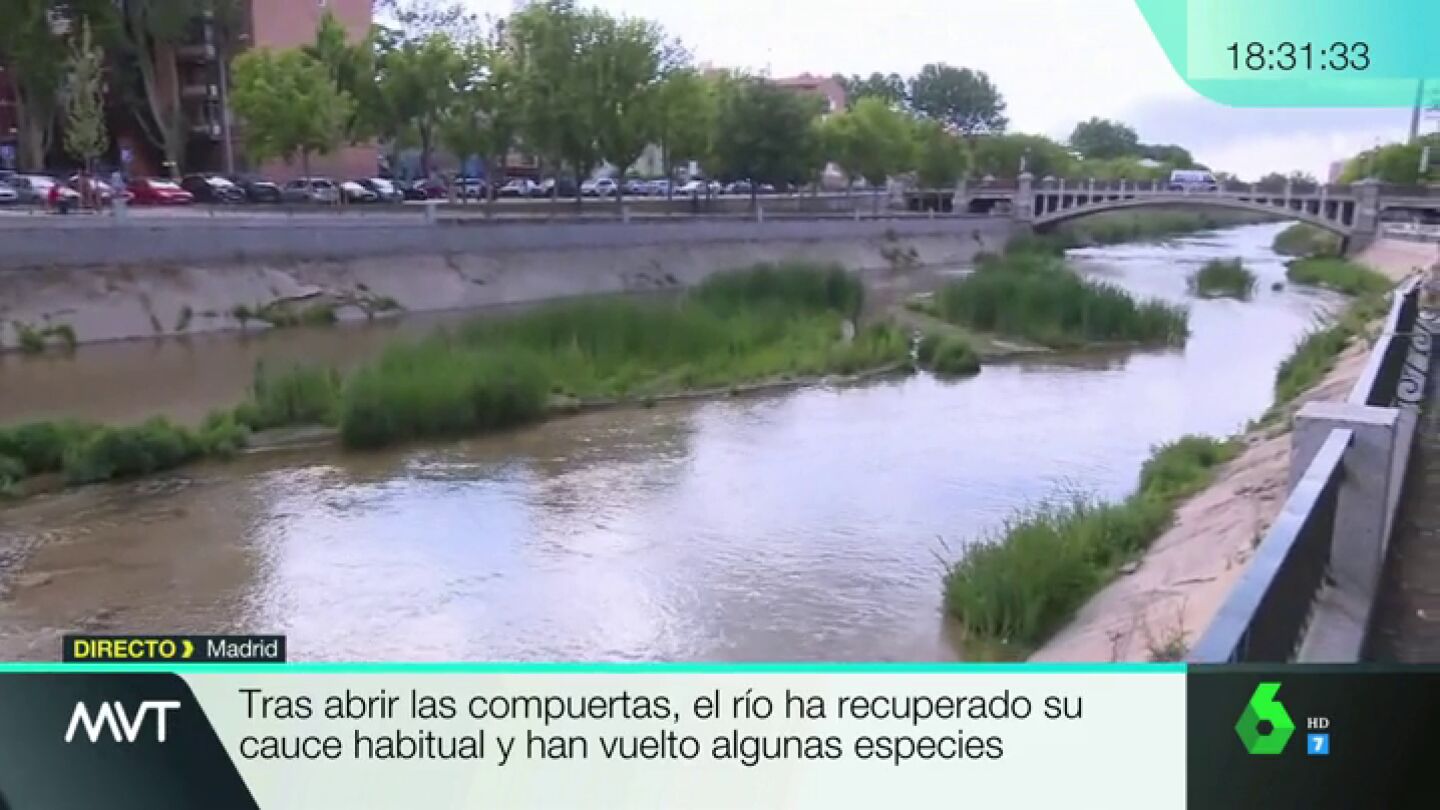 R&iacute;o Manzanares