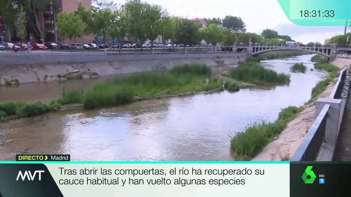 Río Manzanares Río Manzanares