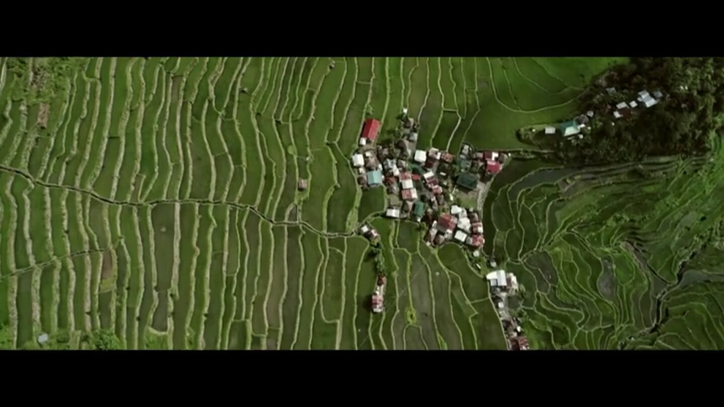 "Si existen 127.000 variedades de arroz, &iquest;por qu&eacute; s&oacute;lo se comercializa el 2%?": 'La semilla que alimenta el mundo', en Enviado Especial