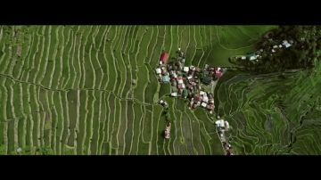 "Si existen 127.000 variedades de arroz, ¿por qué sólo se comercializa el 2%?": 'La semilla que alimenta el mundo', en Enviado Especial