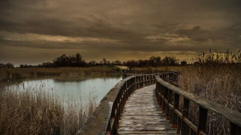 Tablas de Daimiel