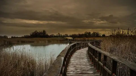 Tablas de Daimiel Tablas de Daimiel