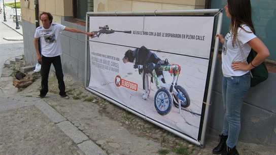 Miembros de El Refugio mostrando la foto de 'Barrio', el perro al que el exalcalde dejó paralítico con un disparo Miembros de El Refugio mostrando la foto de 'Barrio', el perro al que el exalcalde dejó paralítico con un disparo