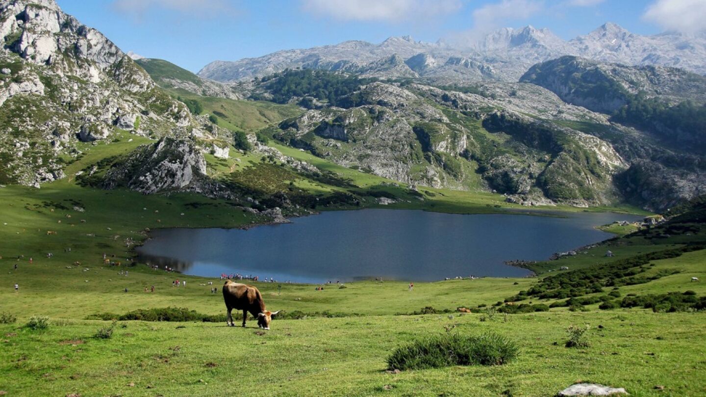 Lagos de Covadonga